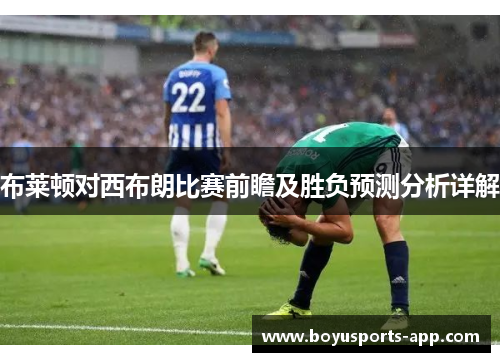 布莱顿对西布朗比赛前瞻及胜负预测分析详解